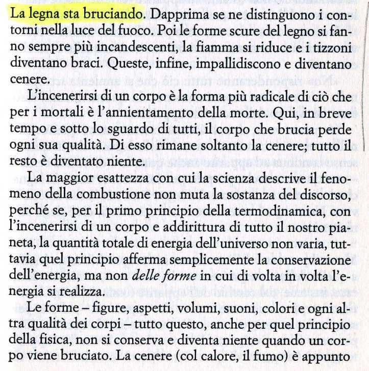 severino la strada1235