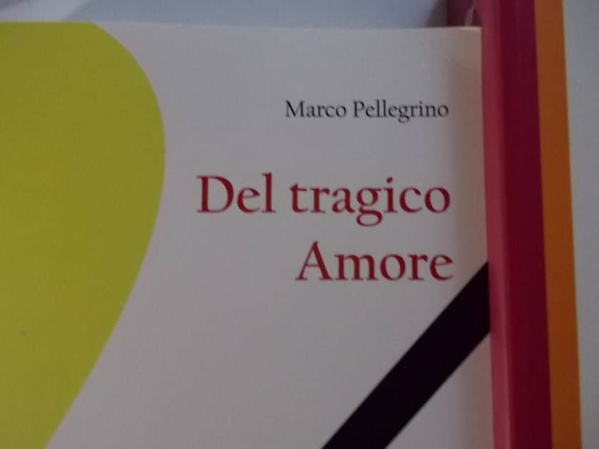 DSCN2010 (FILEminimizer)