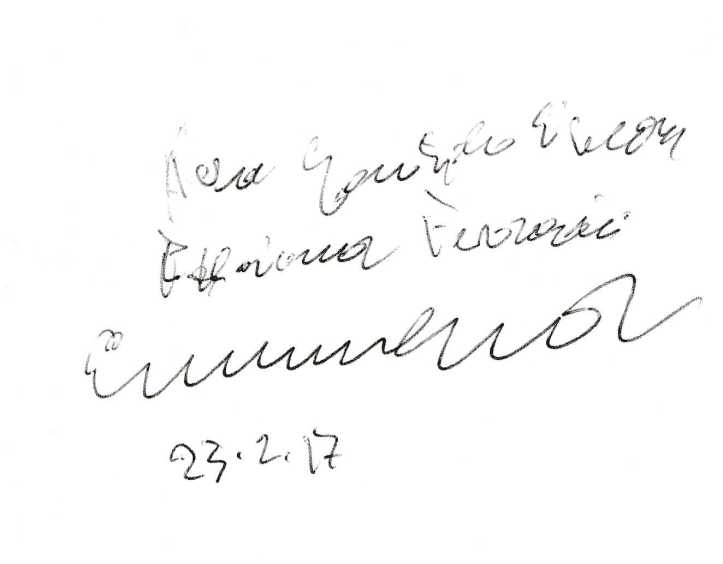 severinio-errare5134