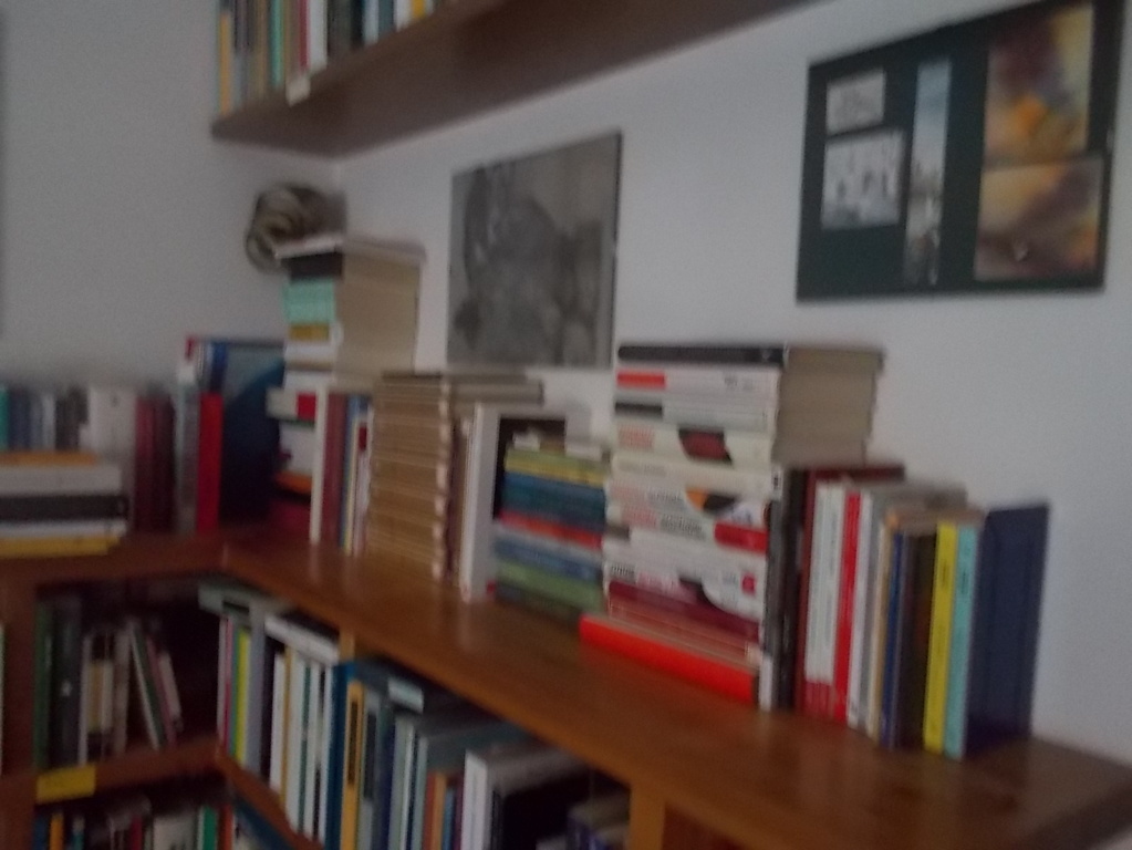 DSCN3231 (FILEminimizer)